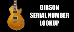 Gibson Serial Number Lookup