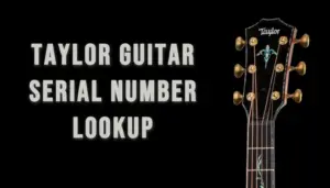 Taylor Serial Number